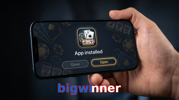 Payment and PKR controls in Bigwinner